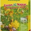 ECOstyle Gazon-AZ Najaar 2 Kg 1 ECOstyle Gazon-AZ Najaar 2 Kg -Tuin Verkoop ecostyle gazon az najaar 2 kg 1614086099 l