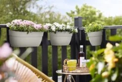 Elho Plantenbak Vibia Campana Easy Hanger Large Wit -Tuin Verkoop elho plantenbak vibia campana easy hanger large wit 800x534 620e3cef4542d l