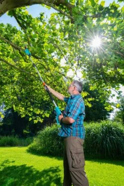 GARDENA Accu Telescopische Snoeizaag TCS 20/18 P4A Set -Tuin Verkoop gardena accu telescopische snoeizaag tcs 20 18 p4a set 1000x1500 640af32266025 l