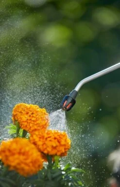 GARDENA Drukspuit 5 L -Tuin Verkoop gardena drukspuit 5 l 1619704865 1 l