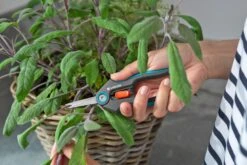 GARDENA FreshCut -Tuin Verkoop gardena freshcut 1500x1000 640af8175f65c l