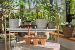 GARDENA FreshCut Set -Tuin Verkoop gardena freshcut set 1500x1000 640af81aaa70a l