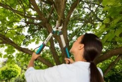 GARDENA Takkenschaar EasyCut 500 B -Tuin Verkoop gardena takkenschaar easycut 500 b 1500x1000 640af7e5d4f80 l