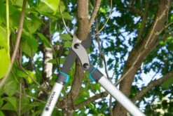 GARDENA Takkenschaar EnergyCut 750 B 7 GARDENA Takkenschaar EnergyCut 750 B -Tuin Verkoop gardena takkenschaar energycut 750 b 1500x1000 640af848a316f l