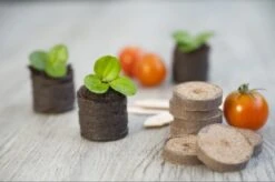 Nature Turftabletten 48st -Tuin Verkoop nature turftabletten 48st 800x532 6214a01453d91 l