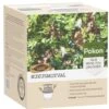Pokon Buxusmotval -Tuin Verkoop pokon buxusmotval 1614005875 l