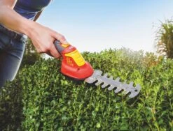 WOLF-Garten Accubuxus Finesse LI-ION PW 30B 7 WOLF-Garten Accubuxus Finesse LI-ION PW 30B -Tuin Verkoop wolf garten accubuxus finesse li ion pw 30b 1619177776 1 l